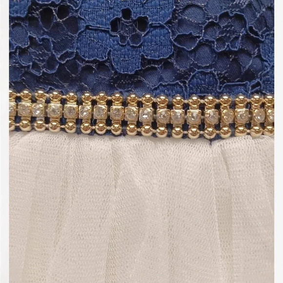 American Princess Blue And  White Tulle Dress Size 12M - Picture 6 of 8